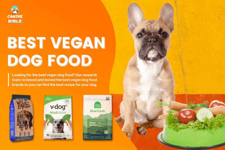 Best Vegan Dog Food Reviews: Top Brands 2023 (+Vegetarian Kibble Options)