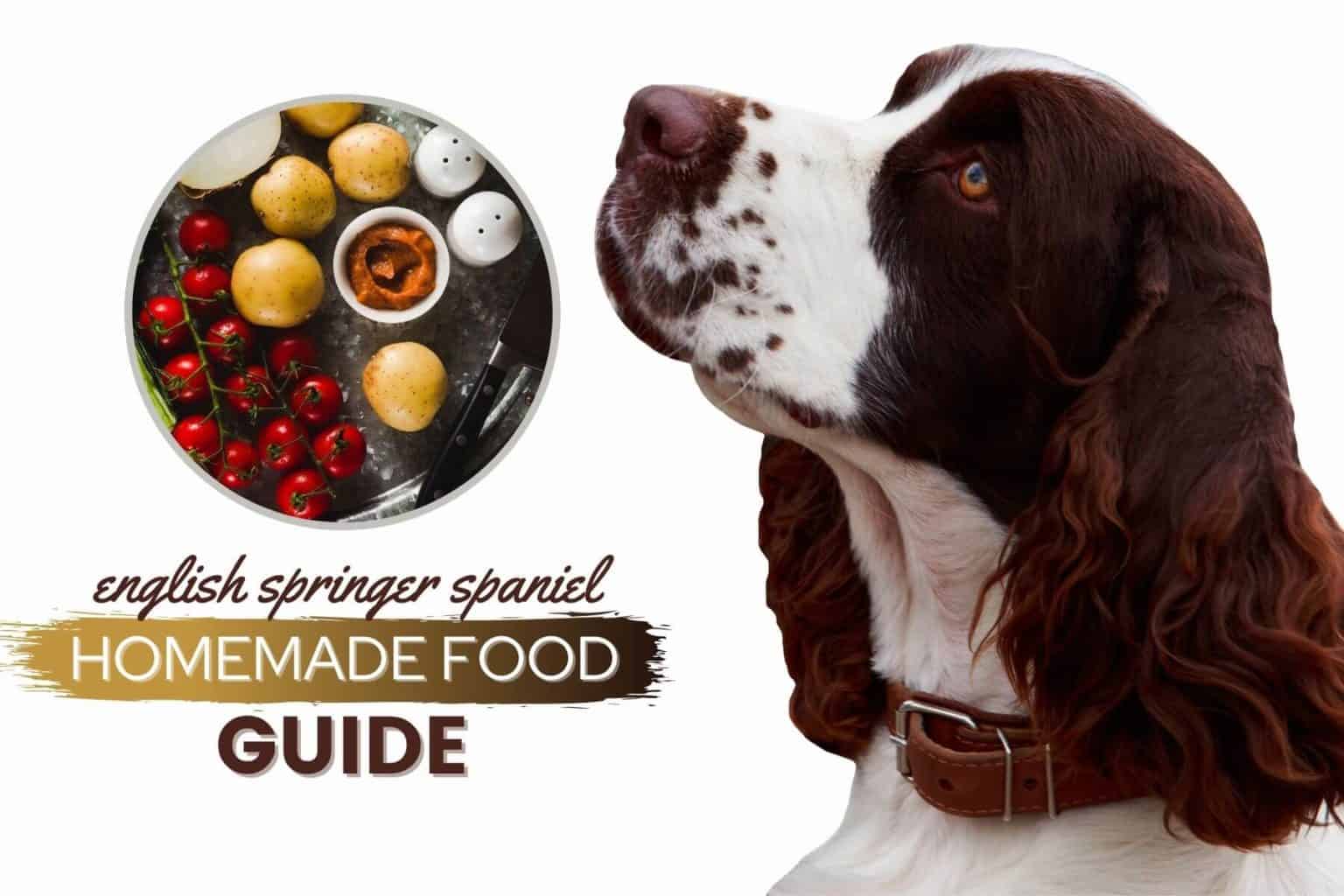 Poodle Homemade Dog Food Guide Recipes, Nutrition & Tips Canine Bible