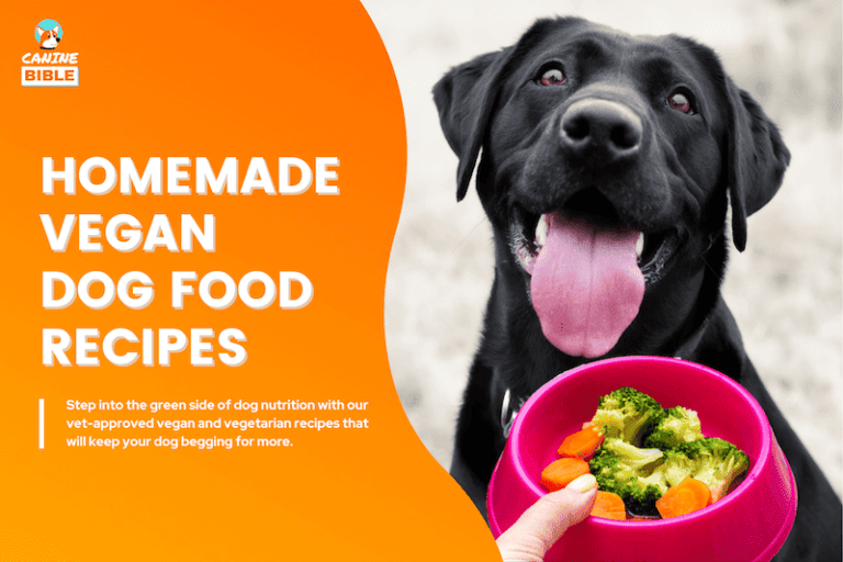 Homemade Vegan Dog Food: 10 Vet-Approved Recipes, Ingredients & Diet Plan