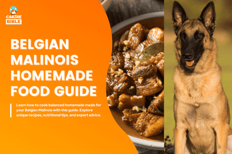 Belgian Malinois Homemade Food Guide & Recipes