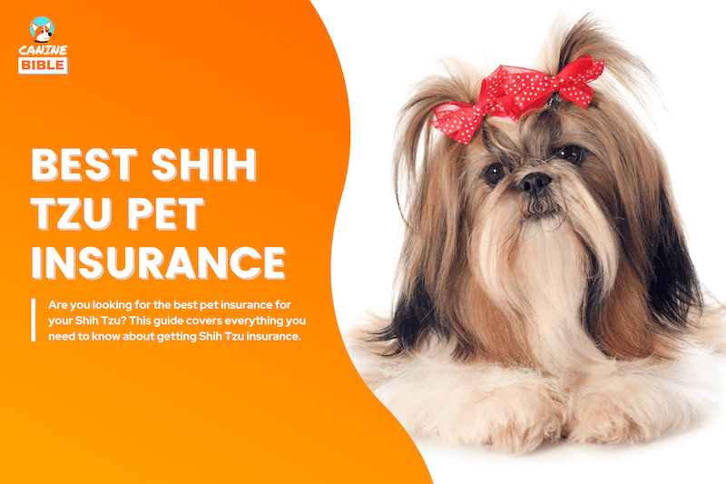 Shih Tzu Pet Insurance