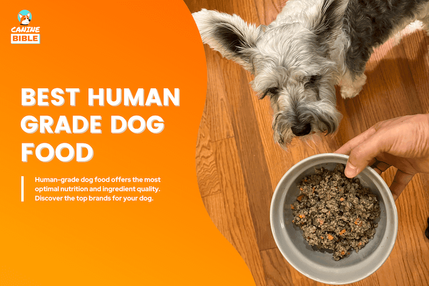 best human grade dog food