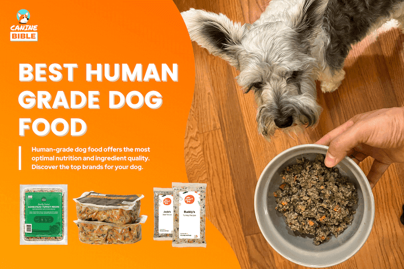 best human grade dog food