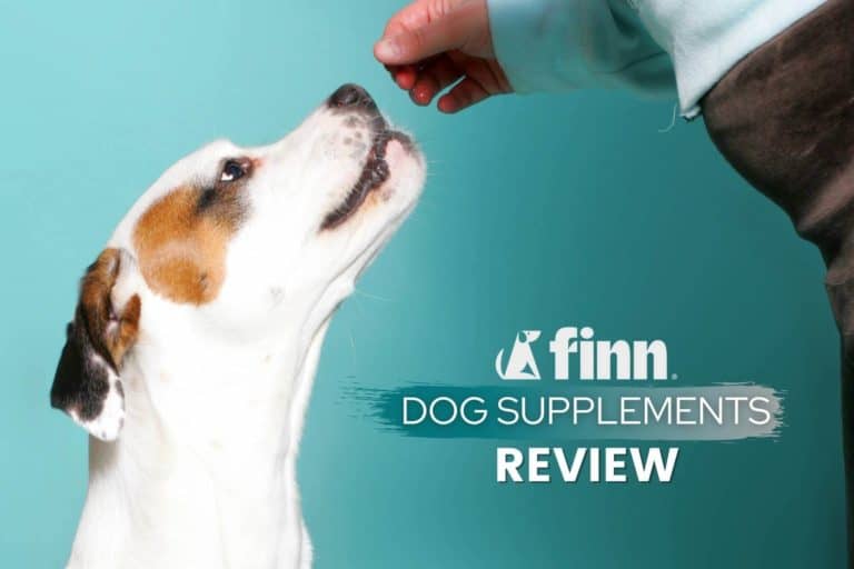 Finn Dog Supplement & Vitamins Review: Our Pups Experience & Results