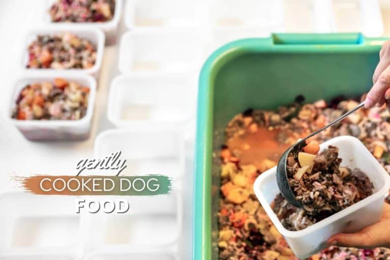 Best Gently Cooked Dog Food Brands 2022 (What Is It, Benefits & Reviews)