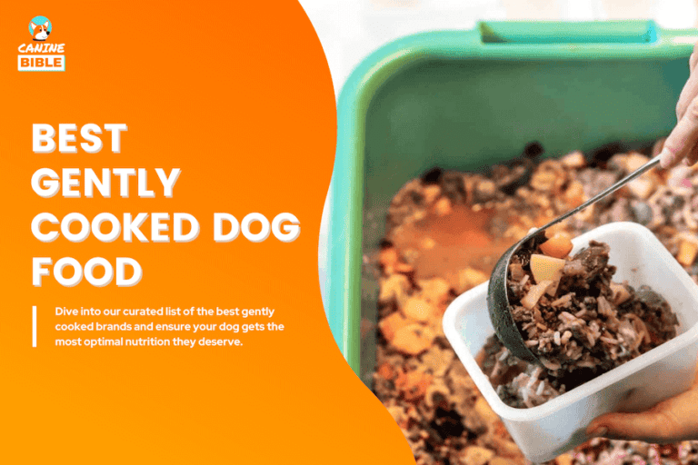 Best Gently Cooked Dog Food Brands 2024 (What Is It, Benefits & Reviews)