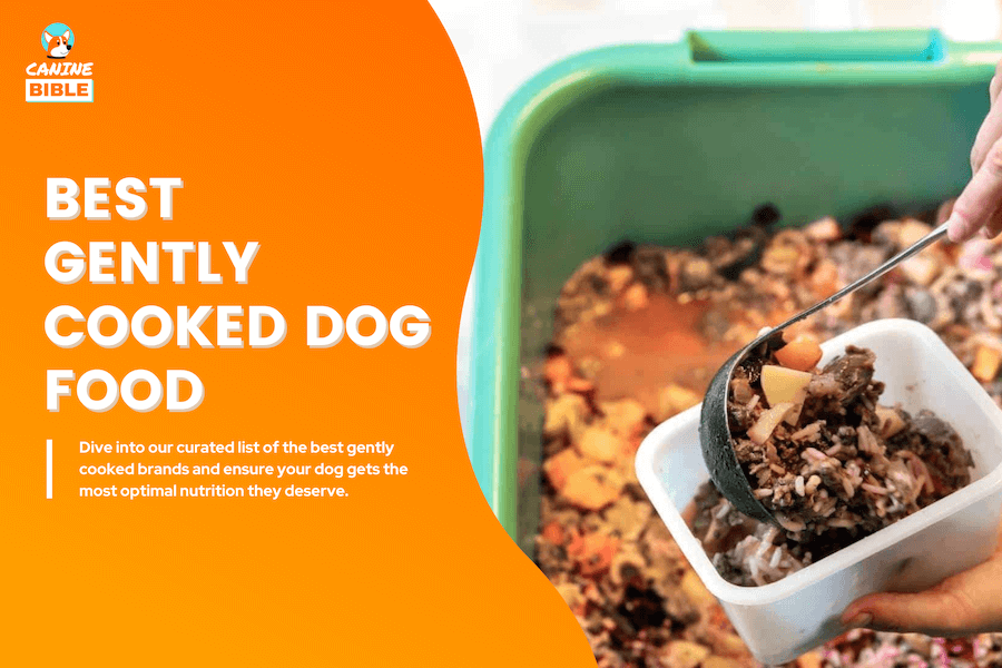 best gently cooked dog food