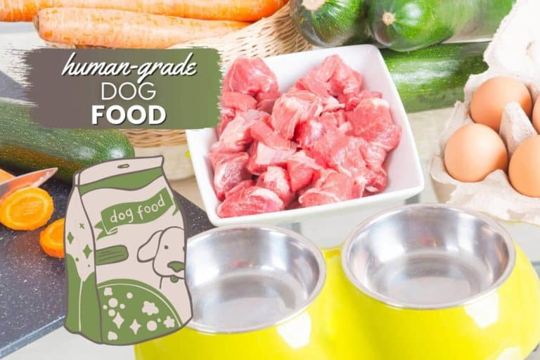 Best Human-Grade Dog Food Brands [2022] What Is It, Benefits & Reviews