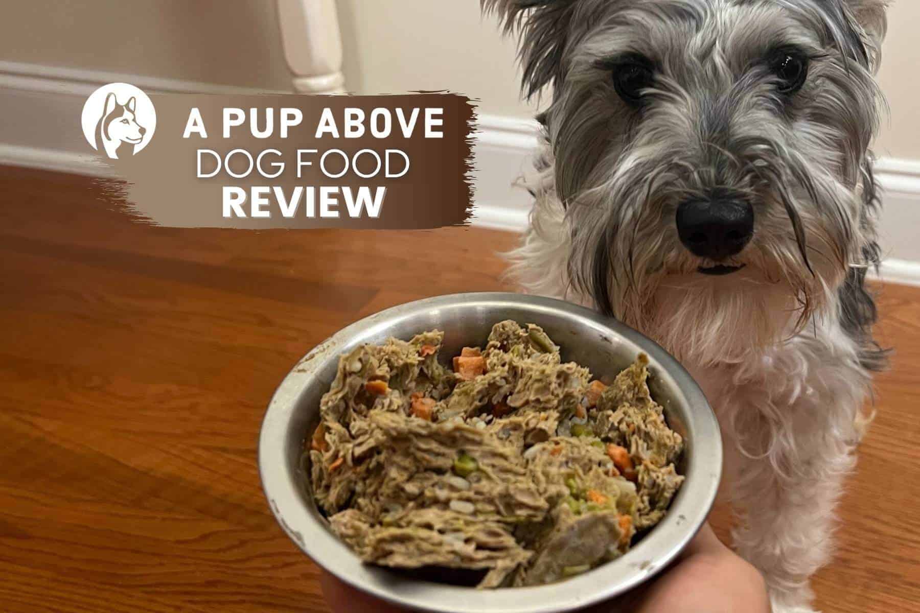 A Pup Above Dog Food Review