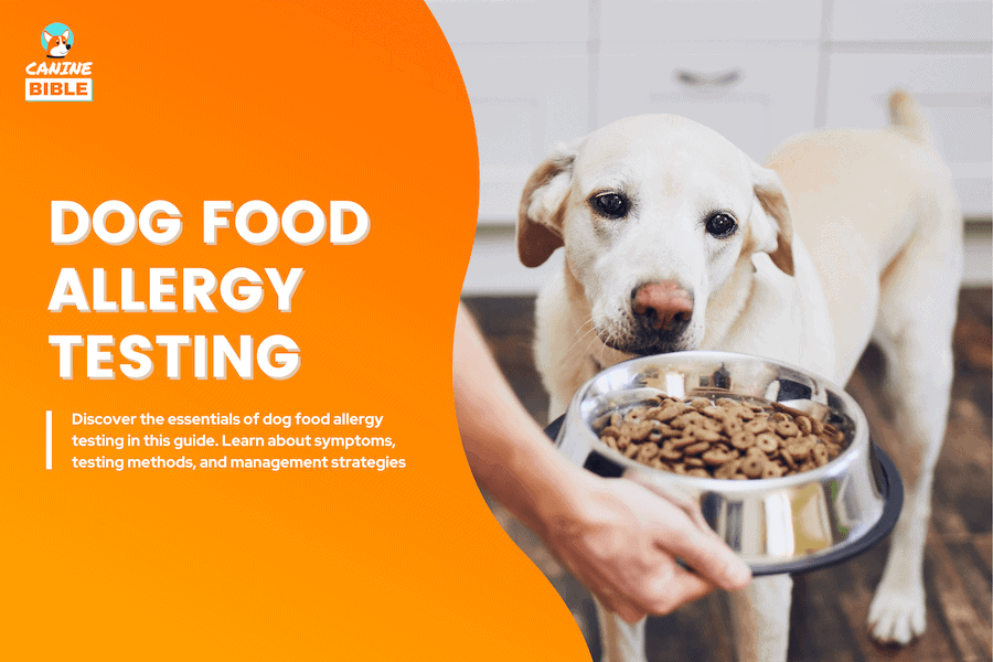 dog food allergy testing