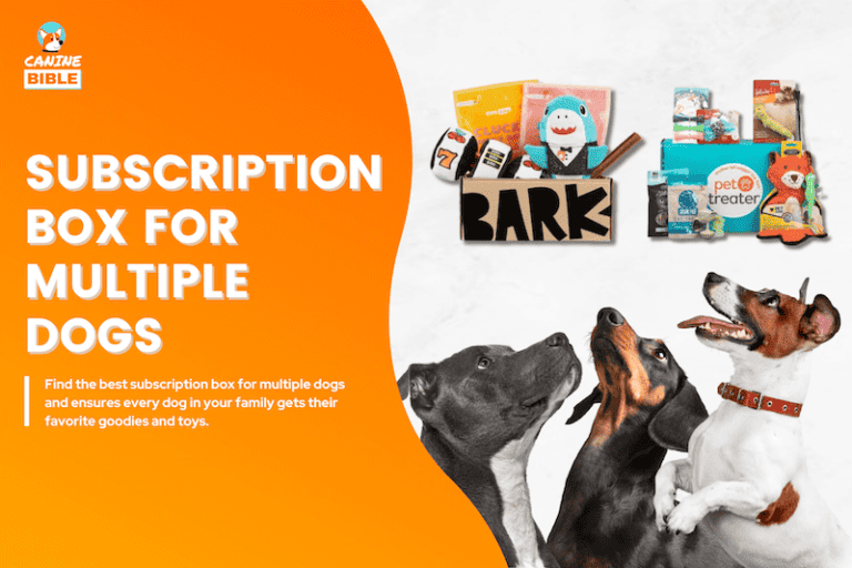 Best Subscription Box For Multiple Dogs: For 2 Dogs or More [2023 Reviews]