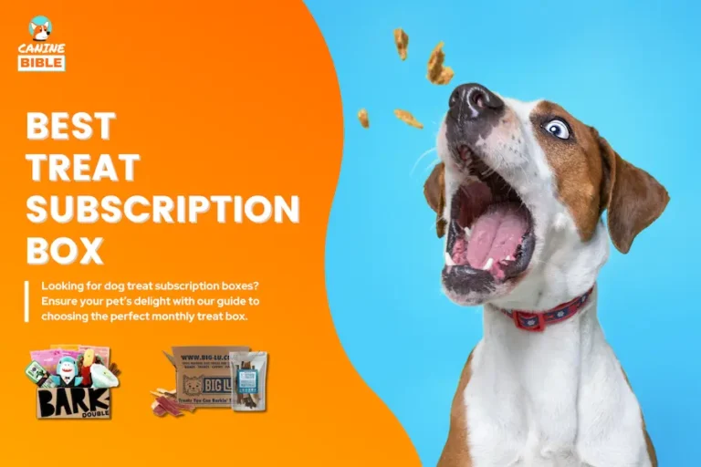 dog treat subscription box