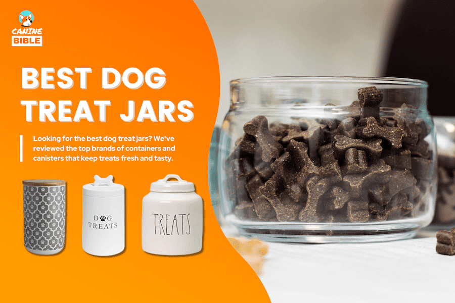 best dog treat jars containers canisters