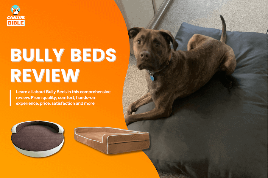 bully beds review