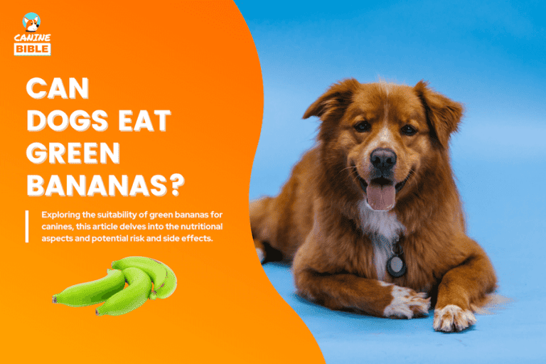 can dogs eat green bananas