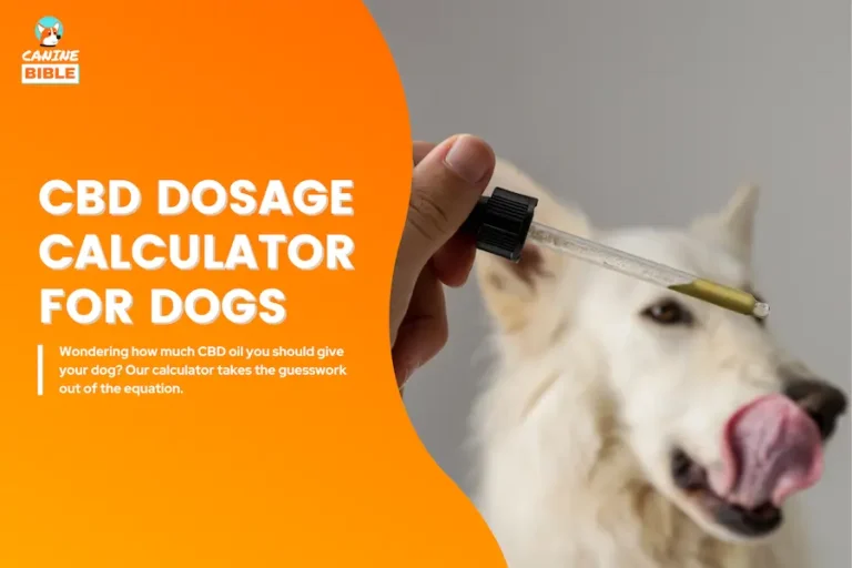 Dog CBD Oil Dosage Calculator: How Much CBD Should I Give My Dog?