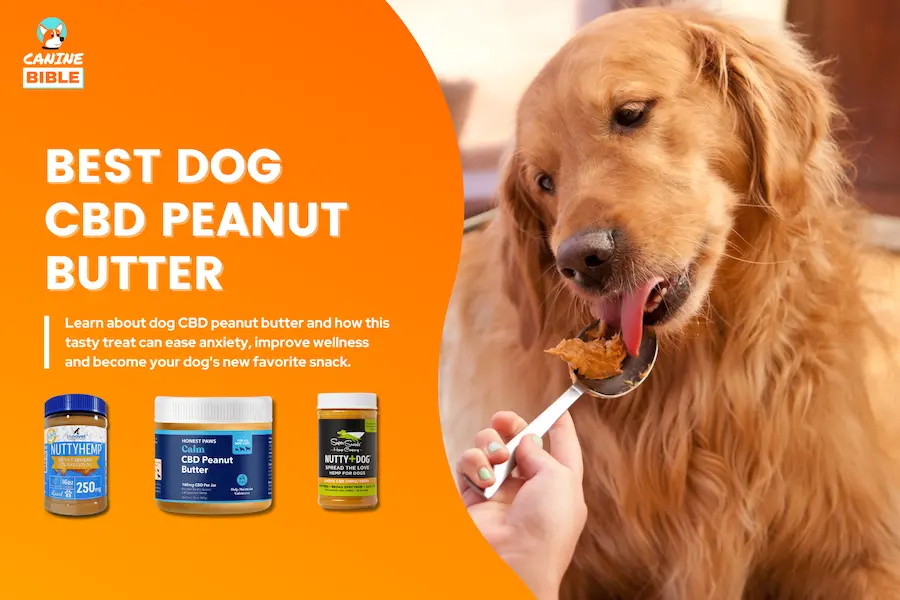 dog cbd peanut butter