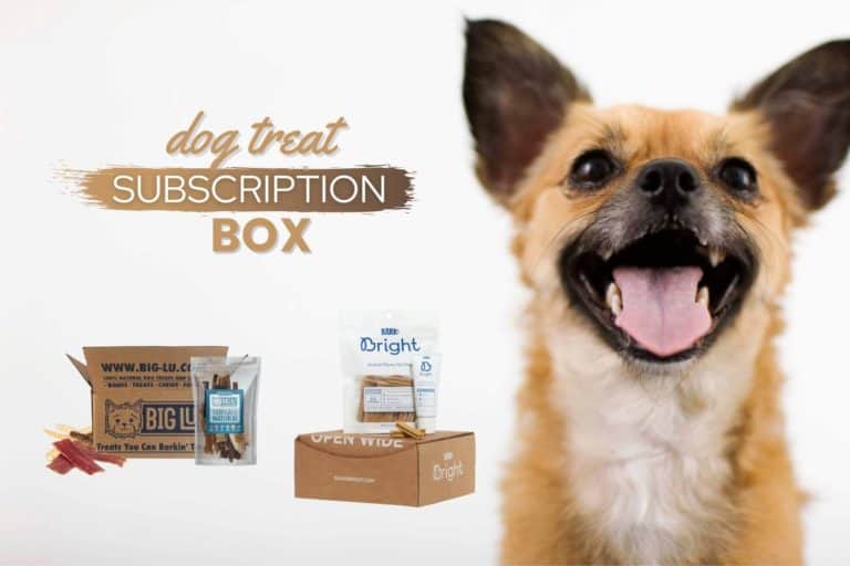 8 Best Monthly Dog Treat Subscription Boxes (Reviews & Top Picks)