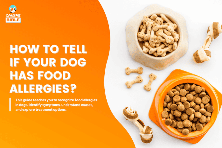How To Tell If A Dog Has Food Allergies