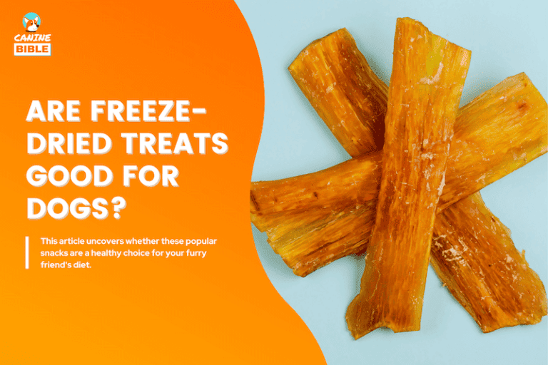 Are Freeze-Dried Treats Good For Dogs? Are They Healthy & Safe?