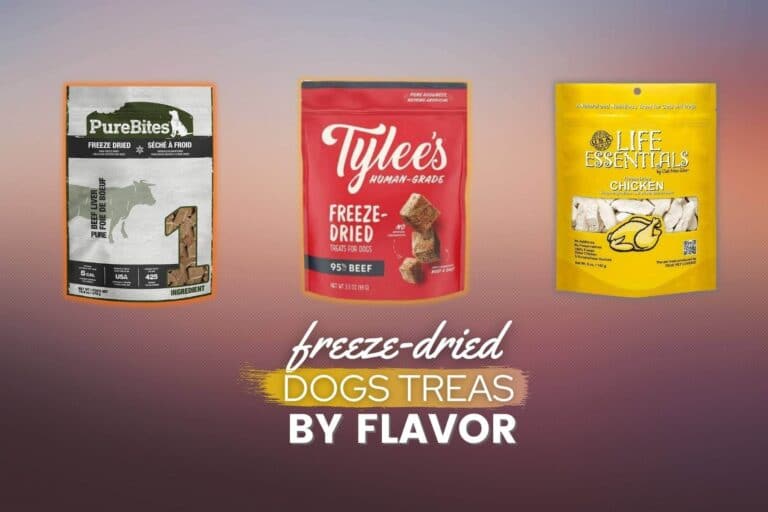 Top Freeze-Dried Dog Treats In Beef, Liver, Chicken, Turkey, Sweet Potatoe & Other Flavors