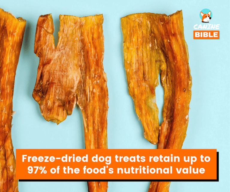 Freeze Dried Dog Treats What Is It, Benefits, Safe For Dogs? Canine