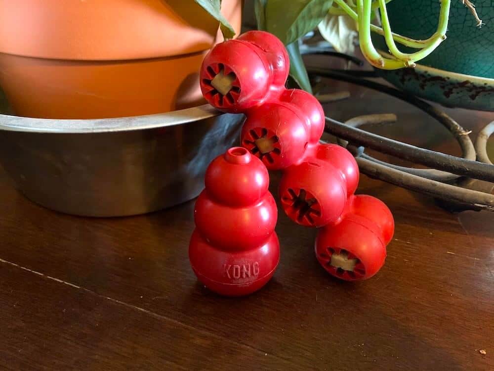 kong box dog toy 