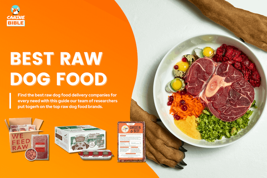 is frozen raw dog food safe