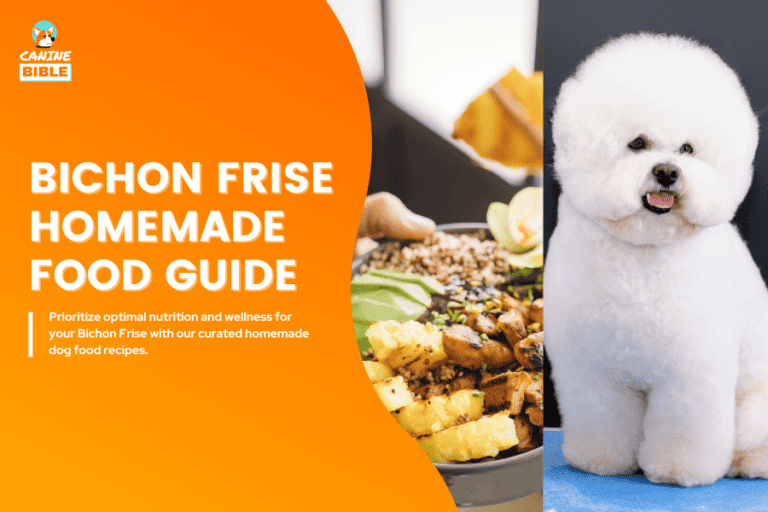 Homemade Dog Food For Bichon Frise Guide: Recipes & Nutrition