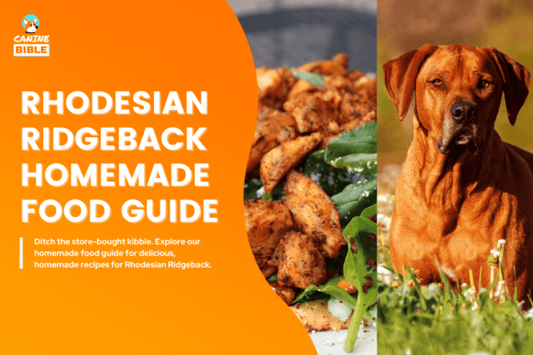 Rhodesian Ridgeback Homemade Food Guide: Recipes & Nutrition Advice