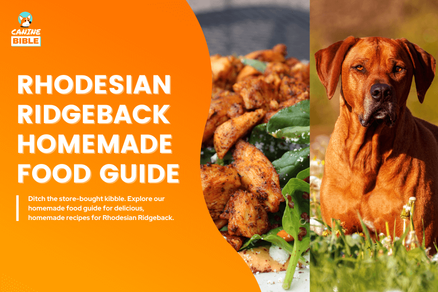 Rhodesian Ridgeback Homemade Food