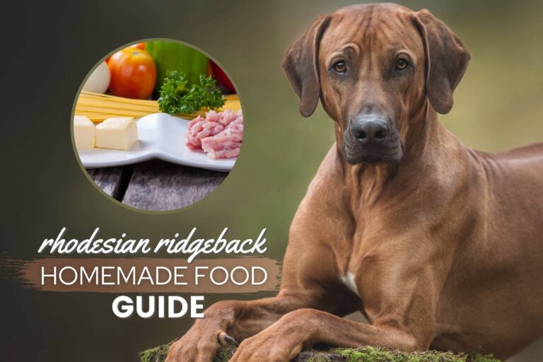 Rhodesian Ridgeback Homemade Food Guide: Recipes & Nutrition Advice