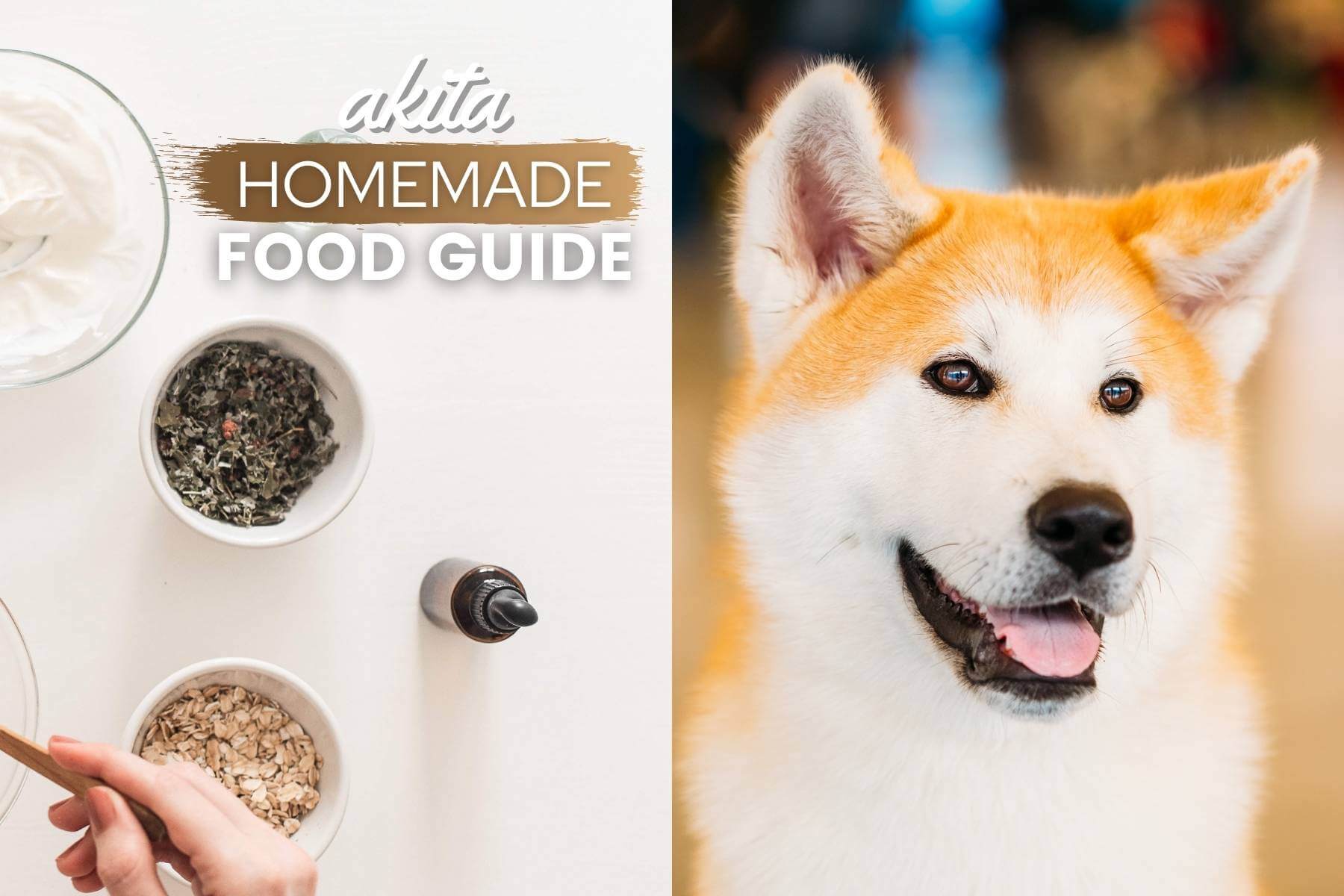 akita homemade dog food