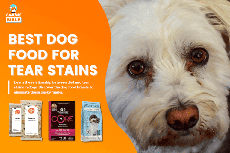 Best Dog Food For Tear Stains: According to Vets (Reviews & Picks)