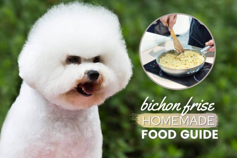 Homemade Dog Food For Bichon Frise Guide: Recipes & Nutrition