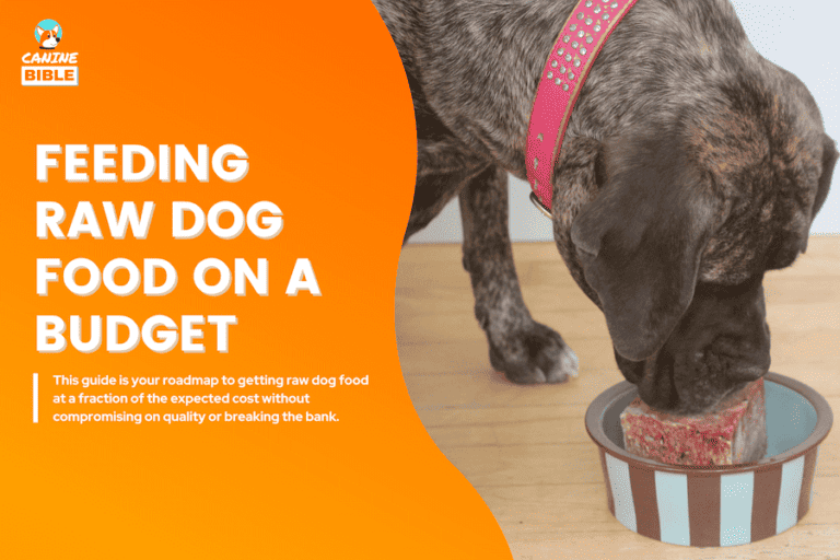 Feeding Dog Raw Diet On A Budget: 15 Cheapest Ways To Feed Raw