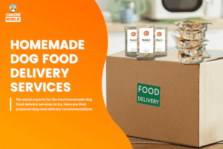 homemade dog food delivery