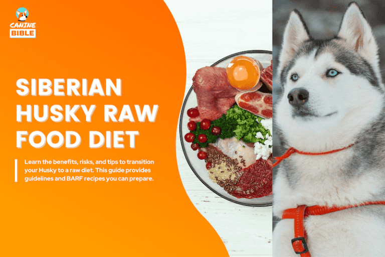 husky raw food diet