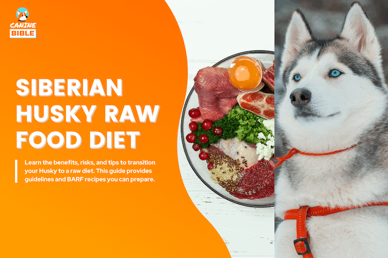 husky raw food diet
