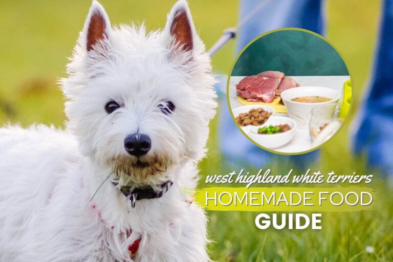 Homemade Food For West Highland White Terriers — Guide, Recipes & Tips