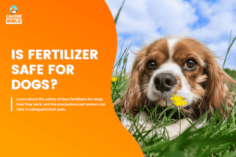 Is Lawn Fertilizer Safe For Dogs? Will It Harm My Dog Bad?