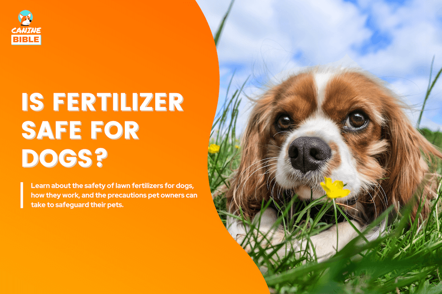 is fertilizer safe for dogs