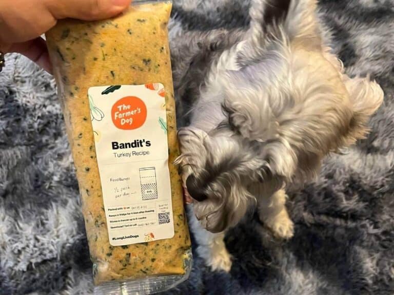 The Farmer’s Dog Food Reviews My Positive & Negative Experience, Worth