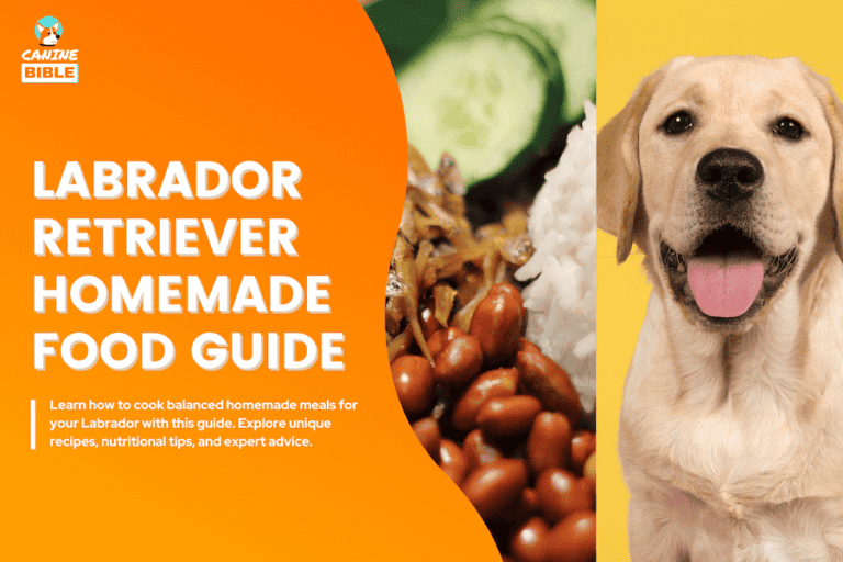 Homemade Food For Labrador Retrievers: Adult & Puppy Recipes & Guide