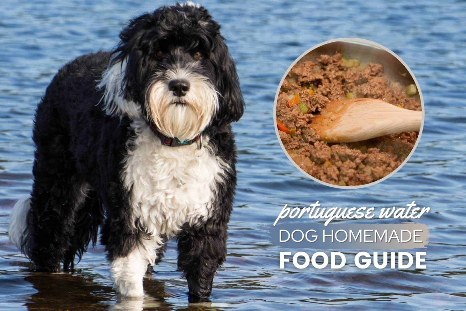 Portuguese water dog homemade food