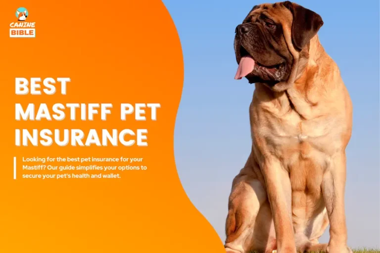pet insurance for Mastiffs