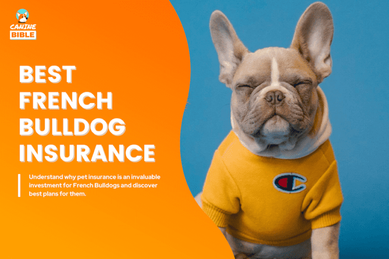 Best Pet Insurance For French Bulldogs 2024: Cost, Reviews & More