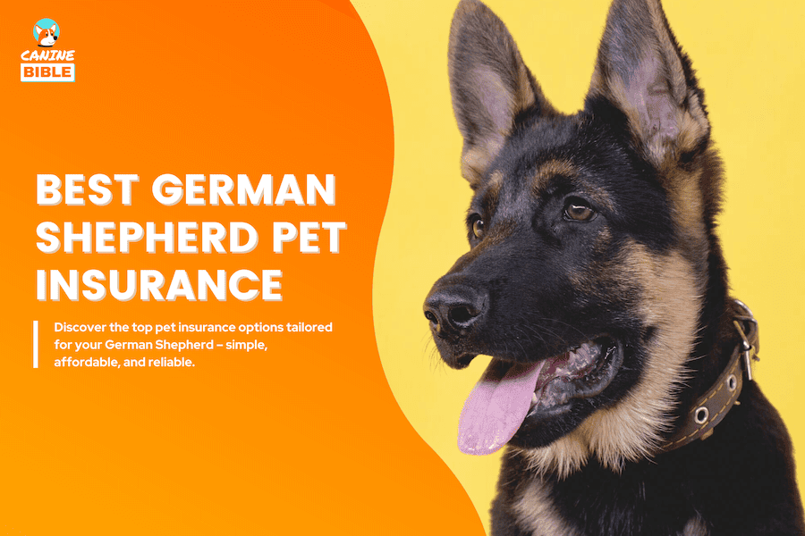 pet insurance for german shepherd