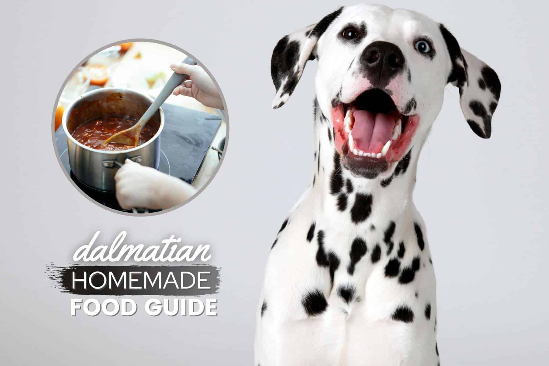 Homemade Dog Food For Dalmatians Recipes Guide Canine Bible homemade-dog-food-for-dalmatians-recipes-guide-canine-bible