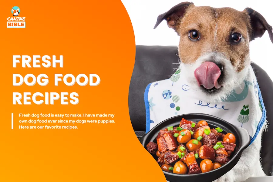 fresh dog food recipes